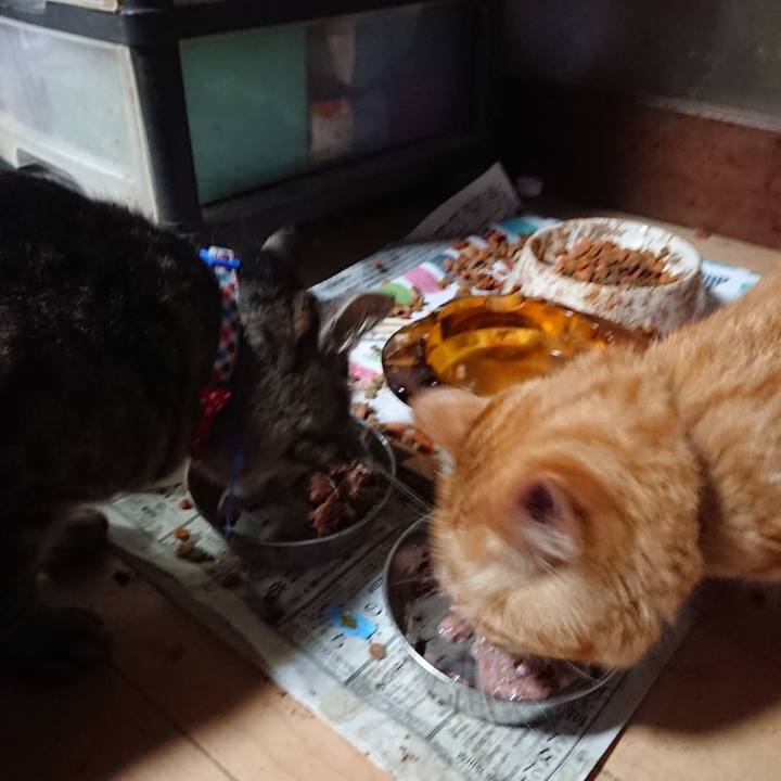 E9054cbb ebc6 46c9 b30e 388b786c10b2 1656840385675