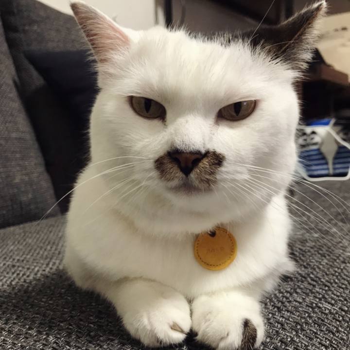 E9054f43 23c3 4a61 b39c dd3bd6ff917b 1595652113582