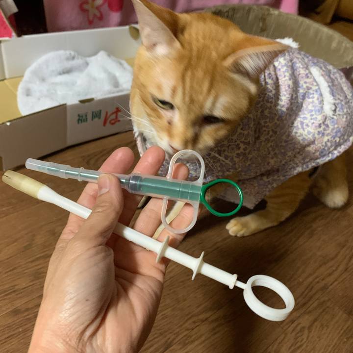 E9057359 b729 436f 96c9 2bc153aba452 1643113306890