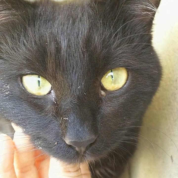 E9057b07 f8ba 4f48 97a6 d2a2c2439fbf 1556947047164