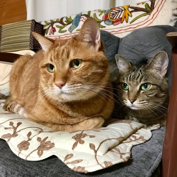 E9059664 729c 47f6 b2d5 1933021b2628 1533382035078