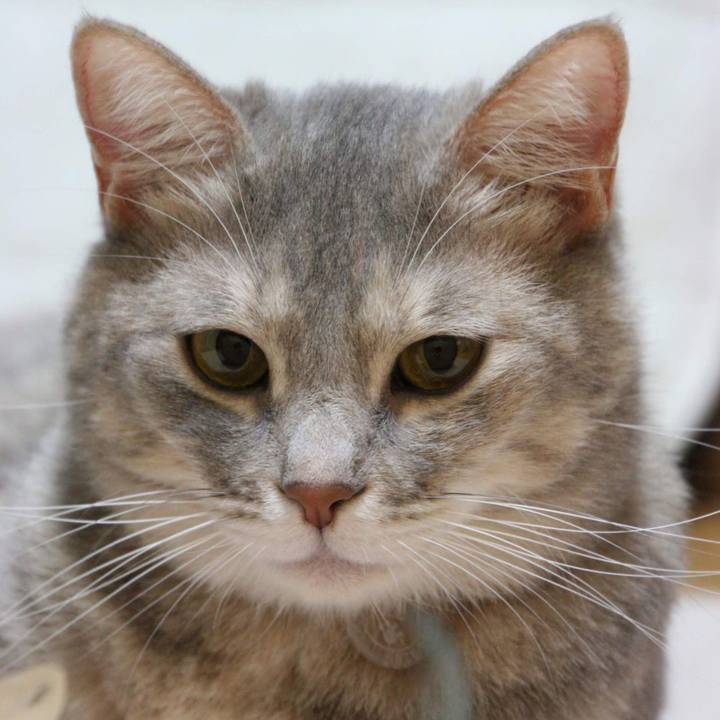 E9059bf6 3777 4b73 a432 7f1edfd6c40a 1542162653897