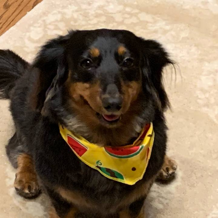 E905c378 a673 4d52 ae8b 7f534df82c5e 1597489719386