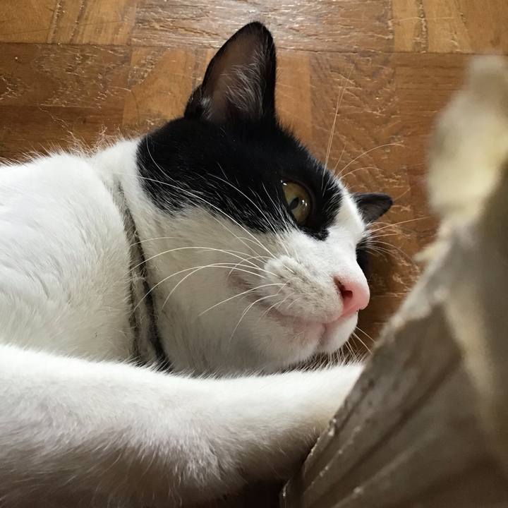 E9061e0e f278 46b7 b370 89f9502f1f3c 1659505401966