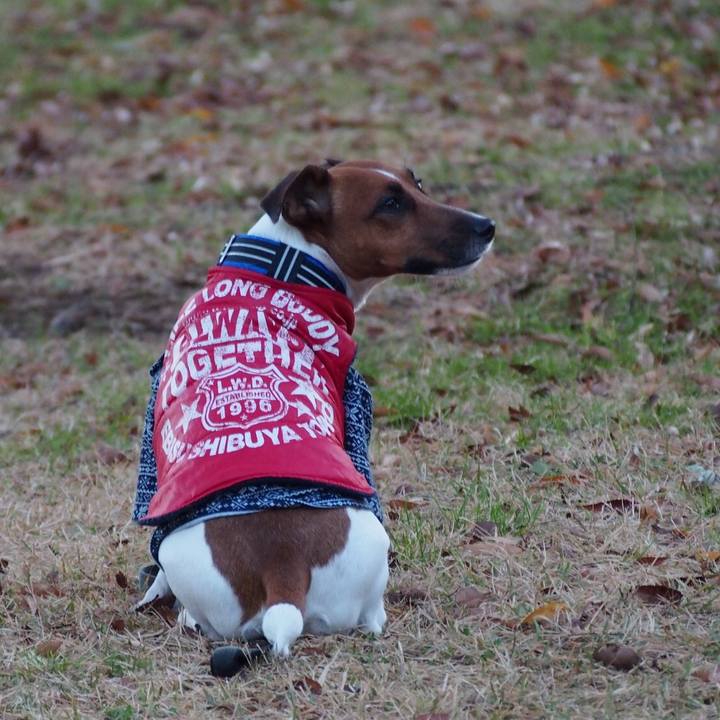 E906a23f 3d20 4fe7 bcd9 1a6f8c832d18 1513465083132