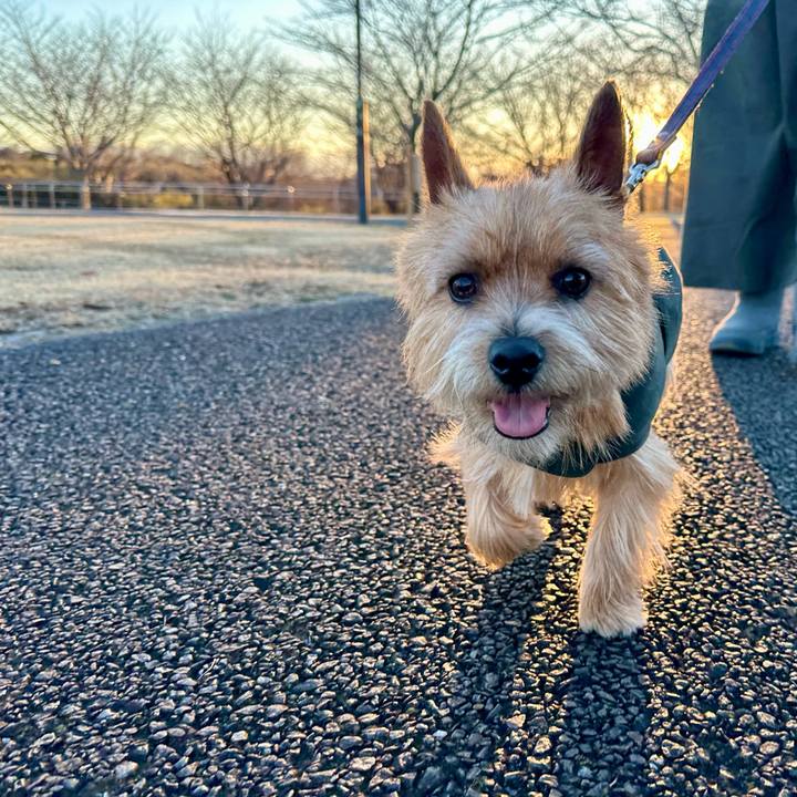 E906b995 e3dd 4754 8475 81bf728fc4c7 1739052191680