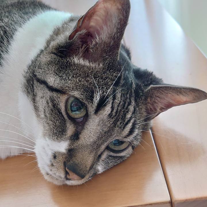 E906e9c8 53c9 4cda 9e3d f99f5151156a 1724495377305