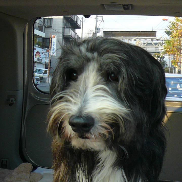 E9072b12 21fa 4964 9530 efeca13ab258 1517660369746