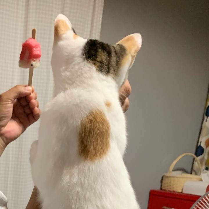 E90746d9 e87a 4887 b8ff 6e77459dbd85 1597663671888