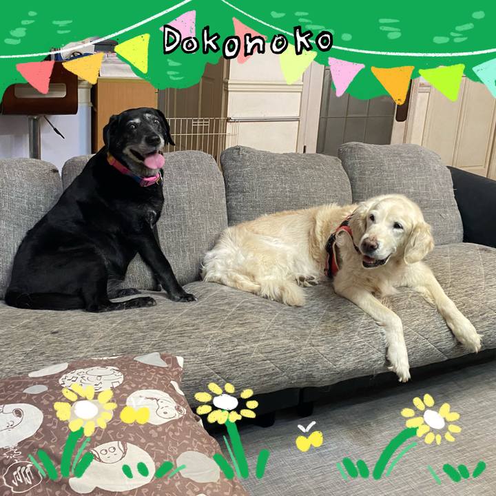 E9076b29 0a29 414e 9221 3197ced3e7f8 1710989455651