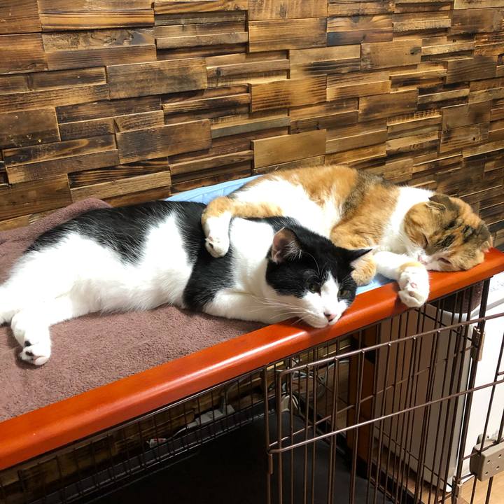 E9076df6 da12 4d12 916f 9799a58ec532 1629027336718