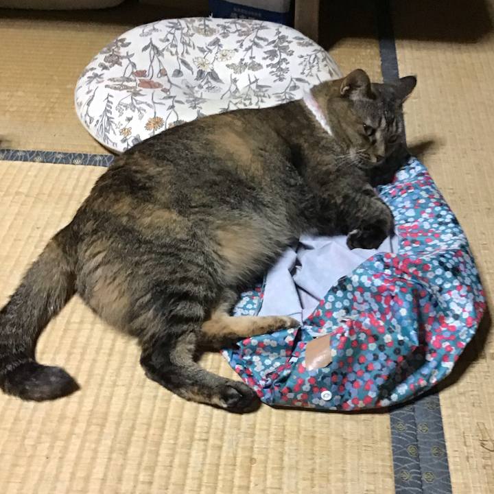 E9077434 99fa 49e1 a3a8 86b723dbb30d 1755770598954