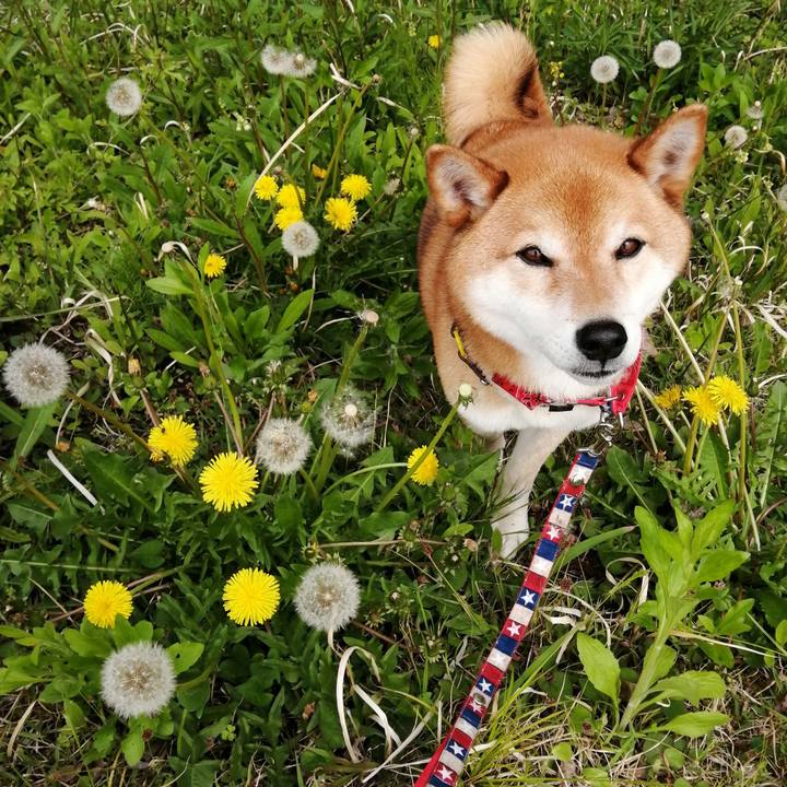 E9077f51 8818 4e17 9cfb 6d4e6042ed58 1650517972146