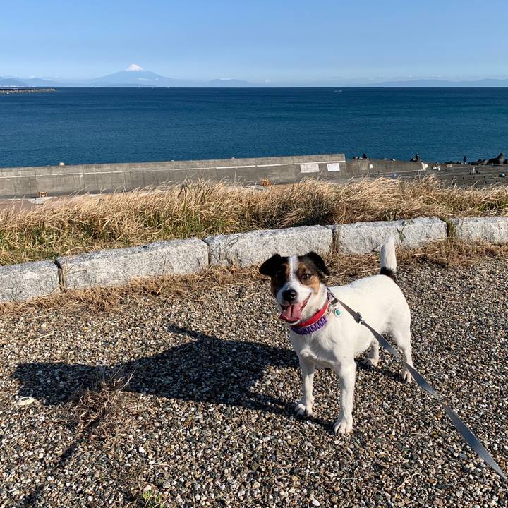 E9078174 8060 466a a99b 172f473ff121 1576297561466