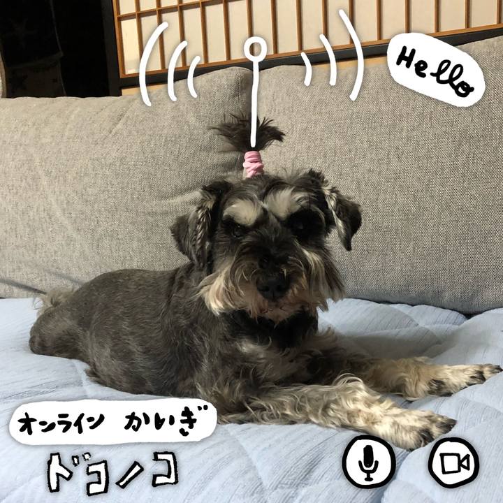 E90798ba 92fc 4544 a540 2403625e9810 1591263355877