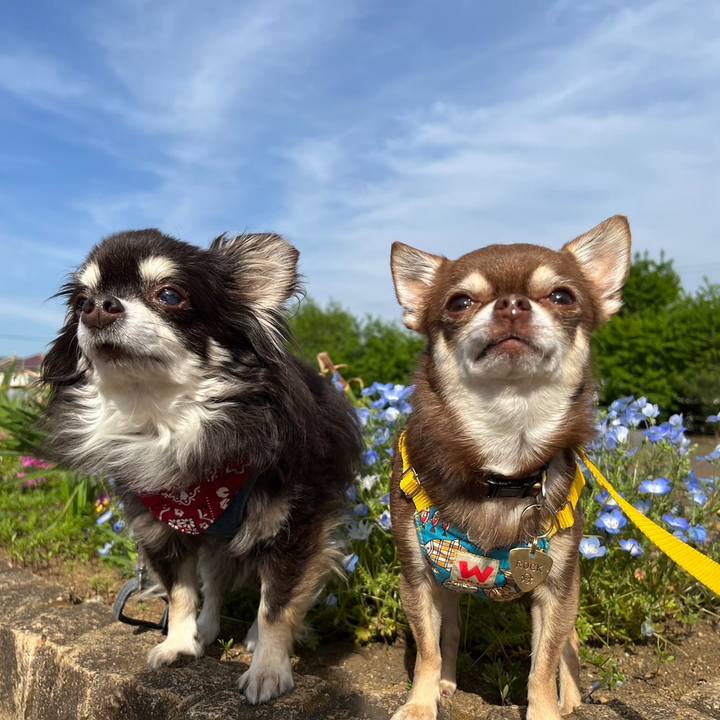 E907beb3 c89b 4ab2 a882 98dffdf62557 1681889553659