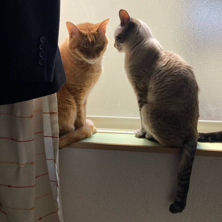 E907f700 2be9 4dd6 98f0 186245943d31 1752895499644