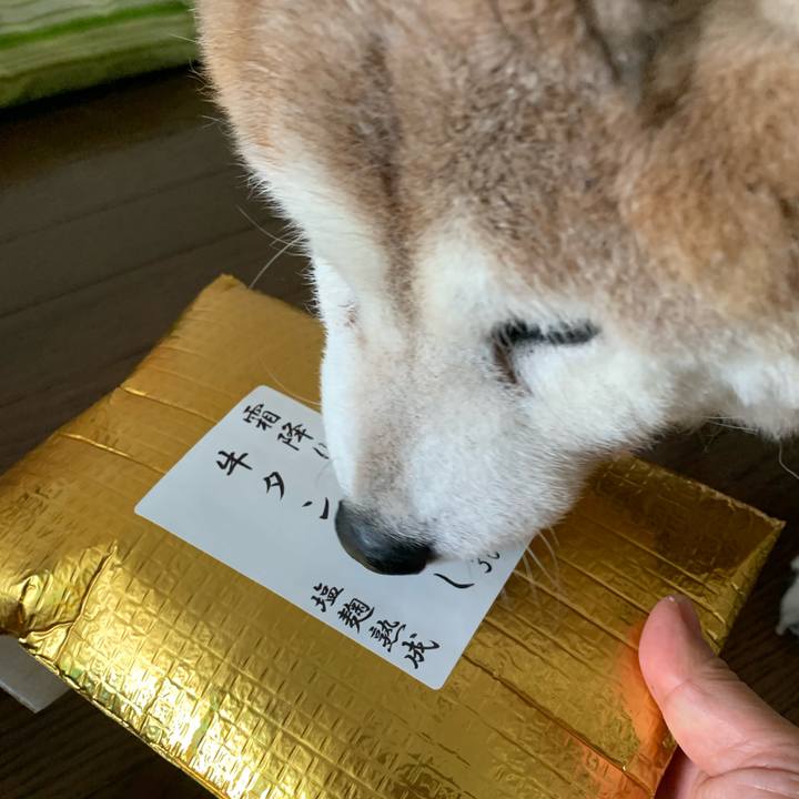 E907f9dc f53b 42ba a32a ac7ffdd6182d 1652017668362