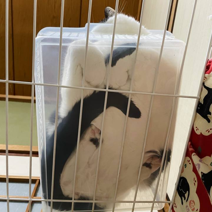 E907fce5 34ee 4fa4 8119 de147081994d 1625627732136