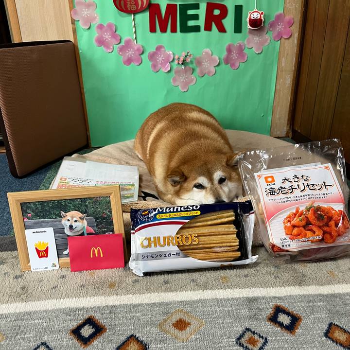 E9081a17 666d 450d af97 605a5b6bd02b 1648358724022