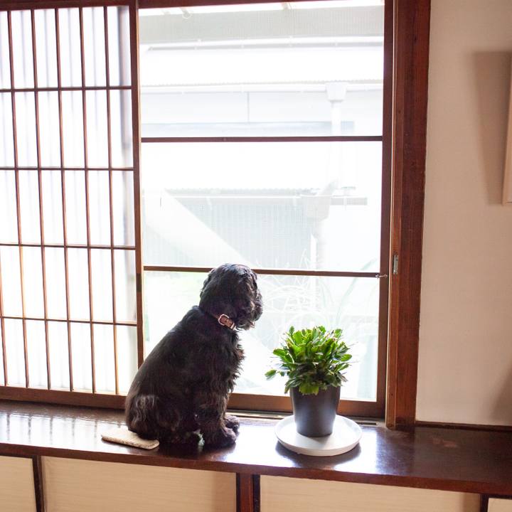 E908745d 1a84 4c21 b871 e0ed9da7840c 1549527198650