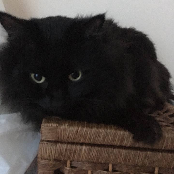 E908a226 5c50 4ecf 86dd 1702a82ae5c3 1544580391705