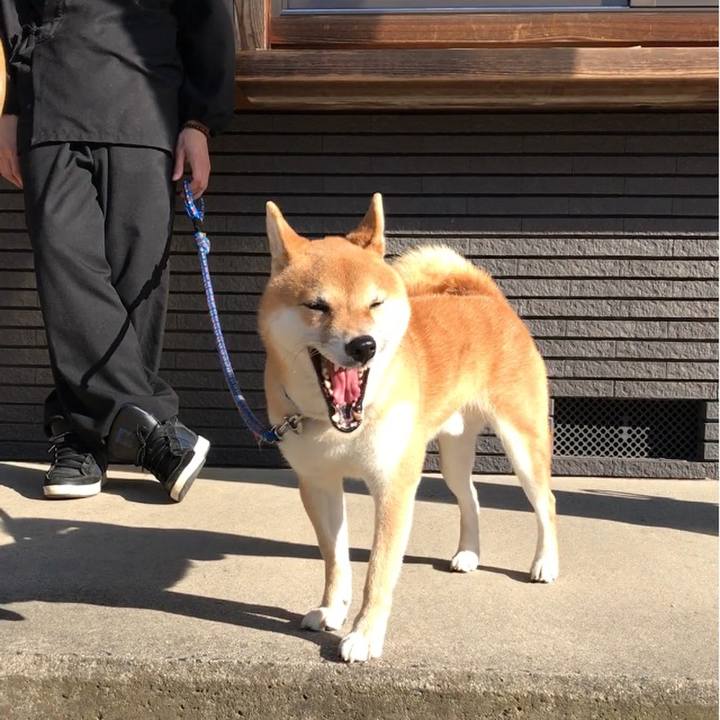 E908dcfc e52e 4f4f 8566 4879512ba1cf 1547876223960