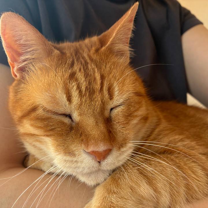 E908f0be 333f 44cf 9ba3 d57e7645062d 1748565672116