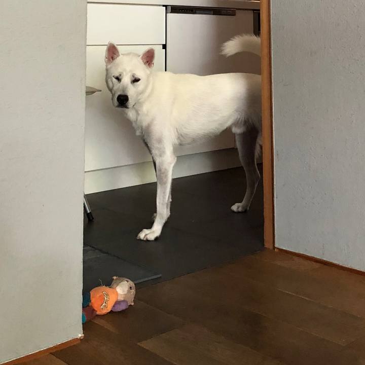 E908f3f1 4704 4a52 af6d 2b95143805eb 1533643171789