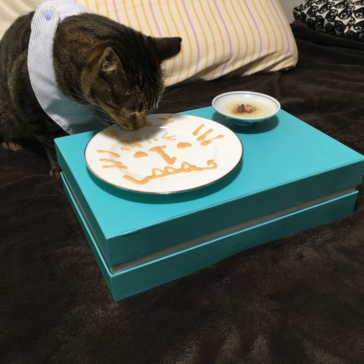 E908ff51 5f4f 4c3c 93fa 51d8fcf5d39a 1539172012694