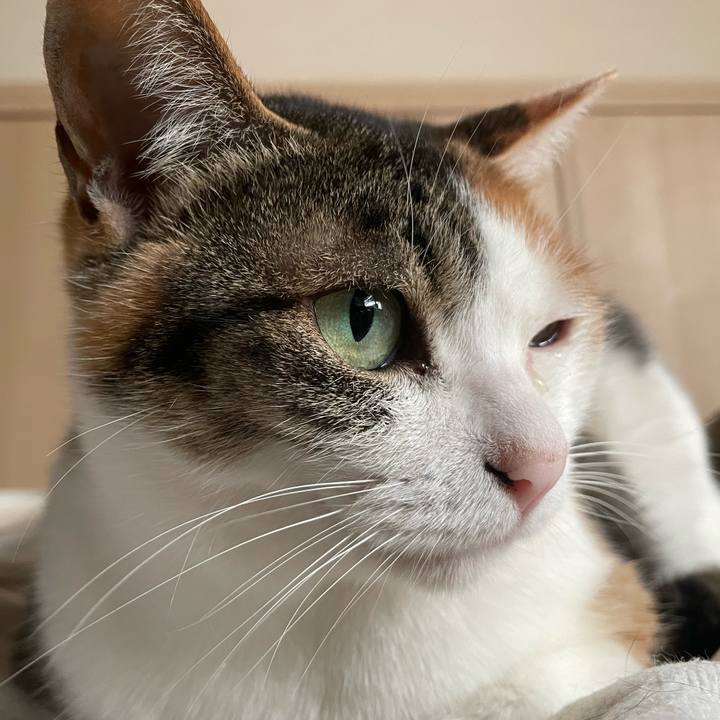 E9090001 9109 428d b507 6be450a11141 1649374107137