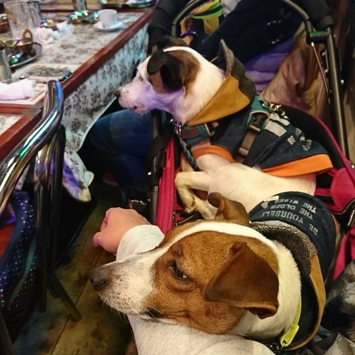 E9098329 9432 44f0 93e1 a790efd34802 1578051668161