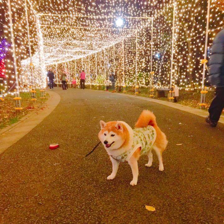 E909ac05 28be 4be9 a959 b113f40fe9e0 1545477753893