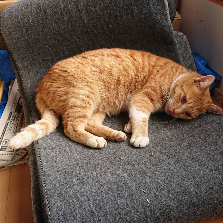 E909e0ba 5bd3 4c23 b41b ccc5cf723d93 1574568634054