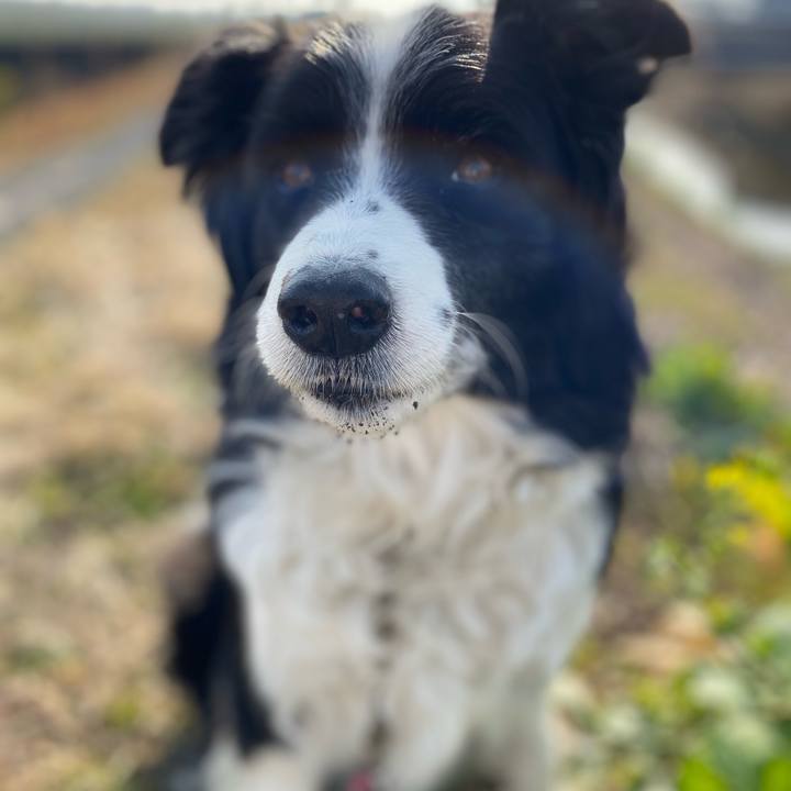 E90a179f 3909 4f18 8a65 b488dc954b67 1644886309463