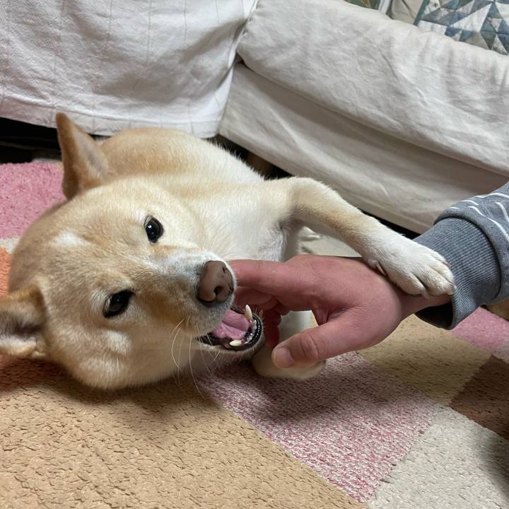 E90a272a c3af 48ec 927f 5df70a0a7893 1668038920178