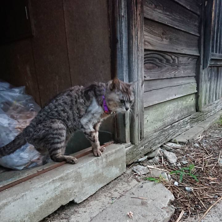 E90a2981 304a 4ec4 97bb df08aded0209 1596658000601