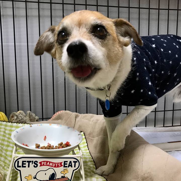 E90a2a97 3a38 4d39 a31b ce2c47830bb1 1613813404033