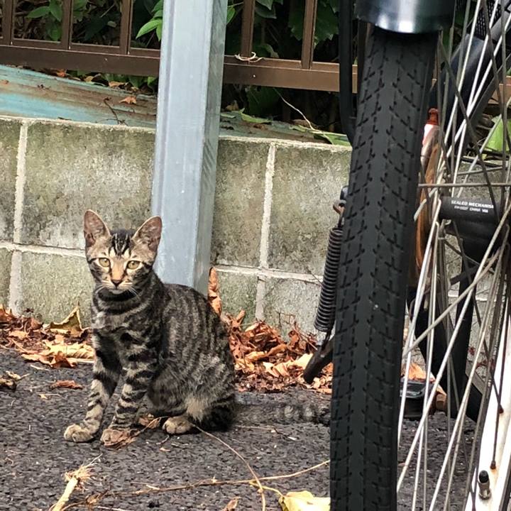 E90a6045 7b1a 4b09 9884 fba081d95a41 1535774695943