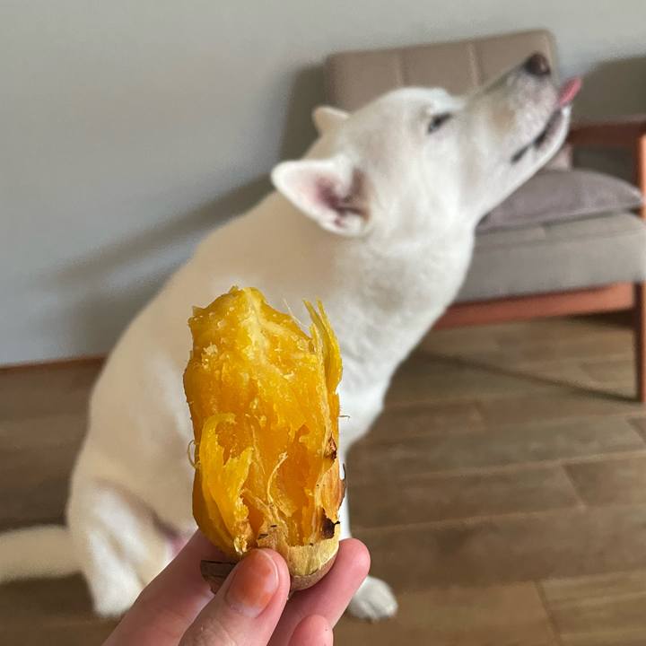 E90a6479 a618 42c8 b9d9 ad16cdef1144 1701777498616