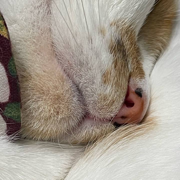 E90a6be5 e549 42b4 b90a 6d9f72b0662d 1734173693449