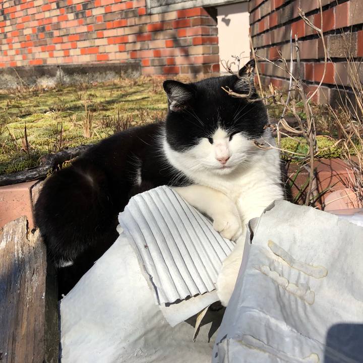 E90a8c68 e8a4 4d57 a4c8 7c7466be9d3f 1607230236967