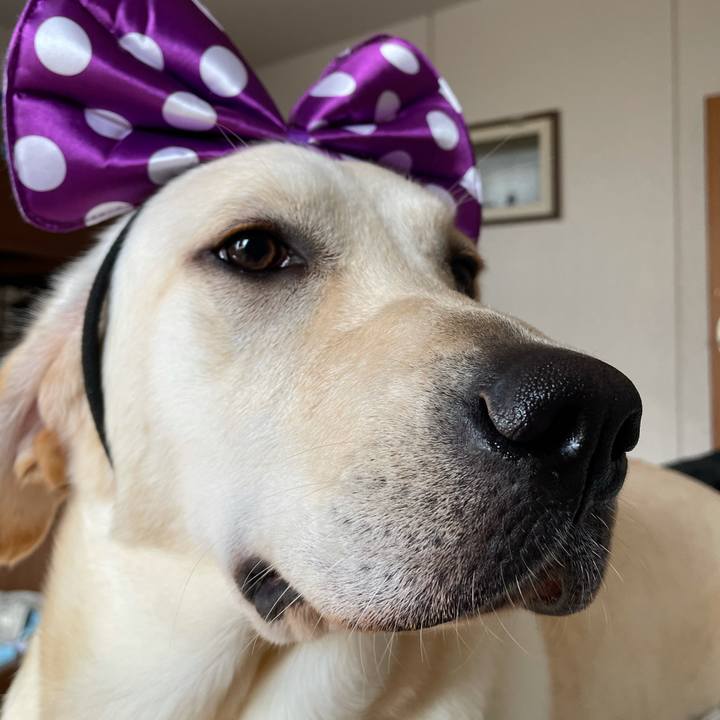 E90ab4bb 5879 439d b448 177dc2830d3e 1632531930757