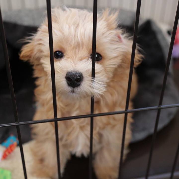 E90ae3e1 a377 4a20 90b2 bc404eda4612 1663077775282