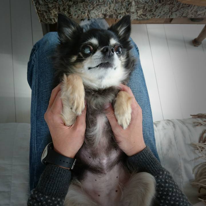 E90ae96a 62fd 47bb aee8 c5382f36023c 1576994071137