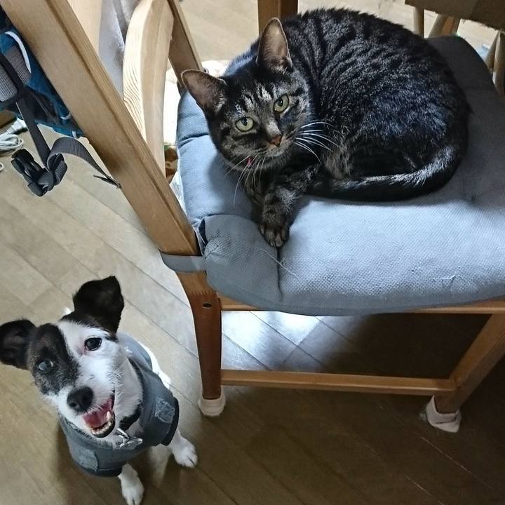 E90b0087 8ebd 4a7f a20a 7e5206011178 1510494513085