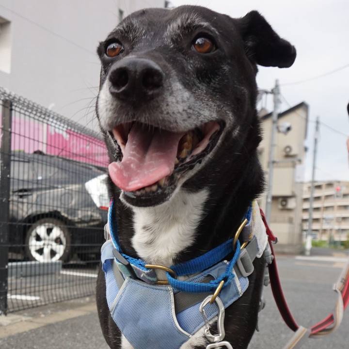 E90b1bb0 b54b 4535 ba44 c36faeed7afc 1756339633060