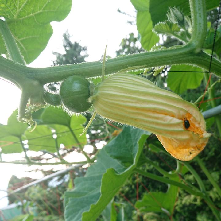 E90b4b10 4845 44c5 83cf e70905513d44 1594201226322