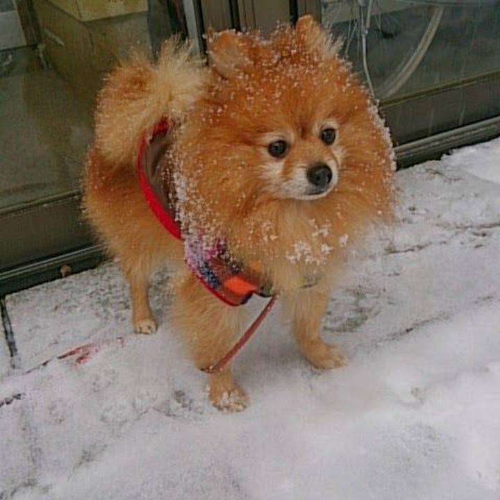 E90c2748 cf8e 4b3b bbaa 5fef6b7e81b3 1739053256378