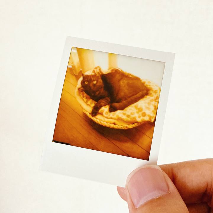 E90cb91f afb7 4f6c 8426 8c315c83664b 1626874484492